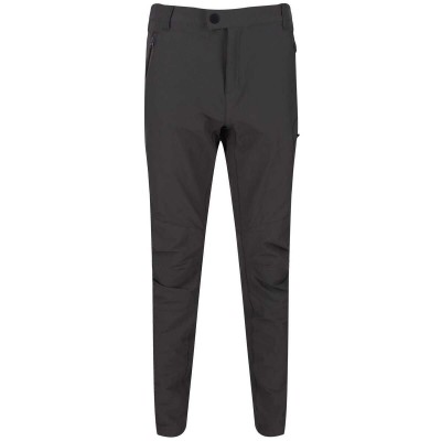 REGATTA Highton Erkek Pantolon Gri