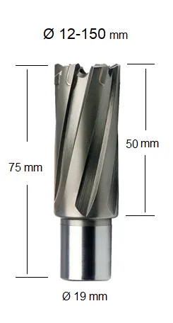 FePowerTools TCT Elmas Uçlu Manyetik Matkap Ucu 16 x 50 mm