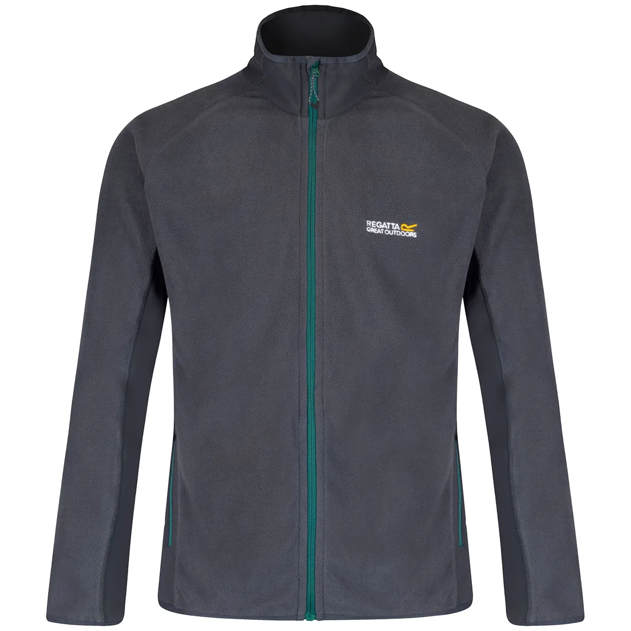 Regatta Ashton Erkek Polar